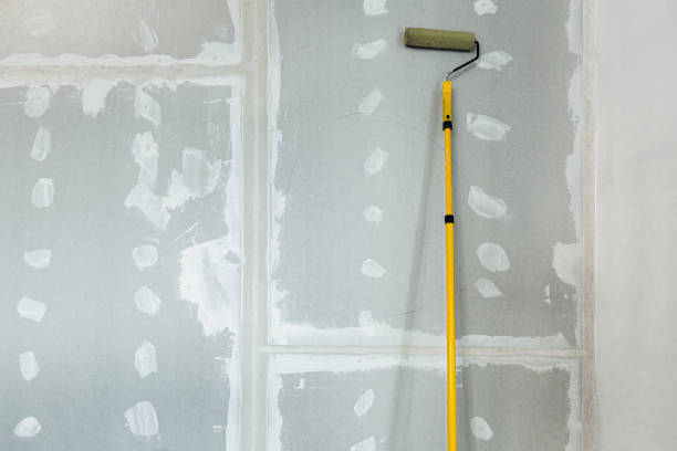 Best Drywall Sanding and Smoothing  in USA